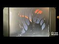 Dumbo Vhs Sped Up