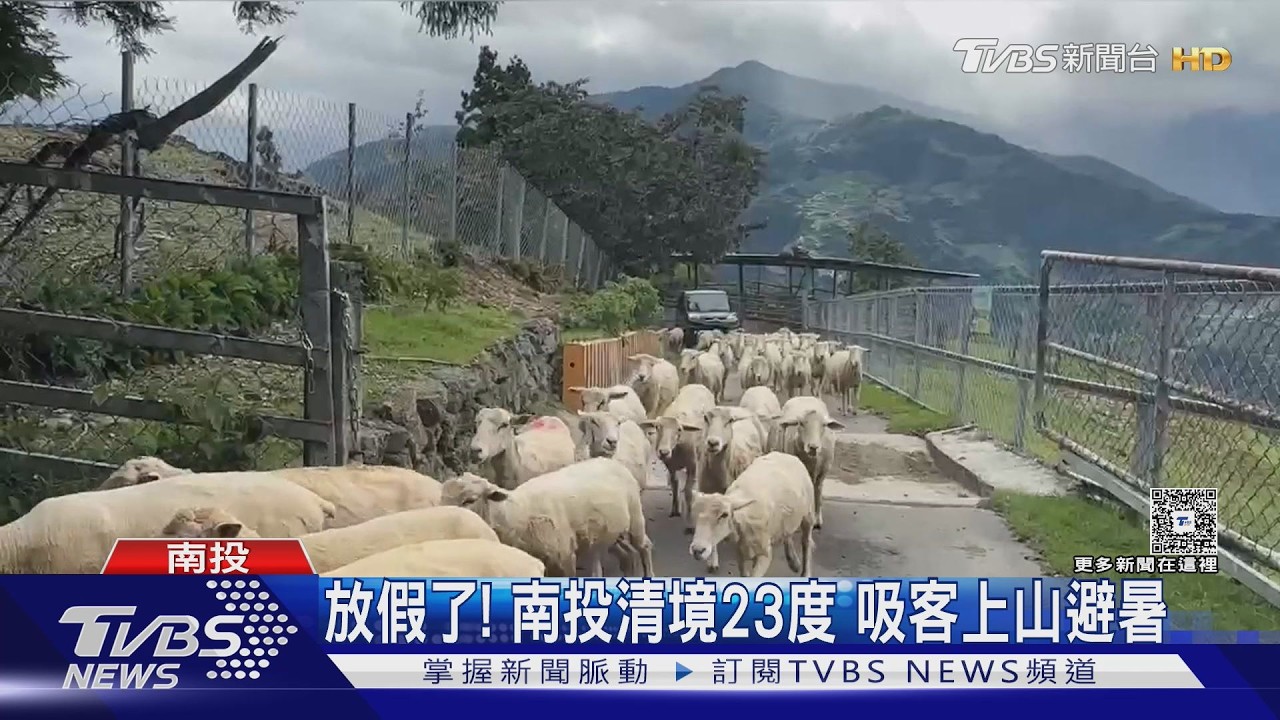 影音/清境農場湧人潮!海拔1700m「涼爽23度」成避暑勝地