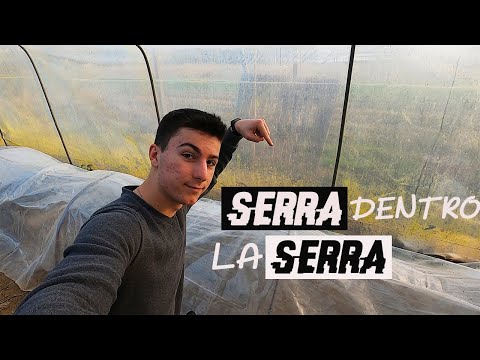 Addio PROBLEMA Freddo in SEMENZAIO - [Ecco la SOLUZIONE]