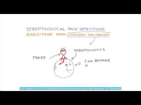 Scarlet fever and its management approach