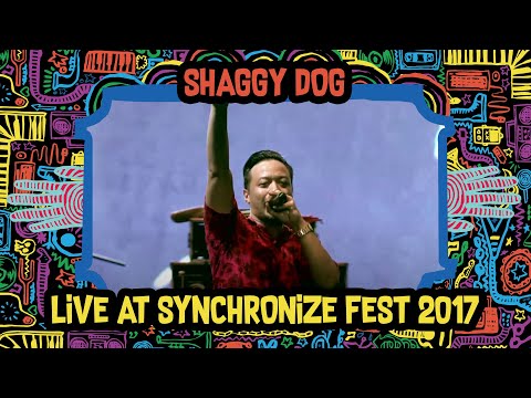 Shaggy Dog LIVE @ Synchronize Fest 2017