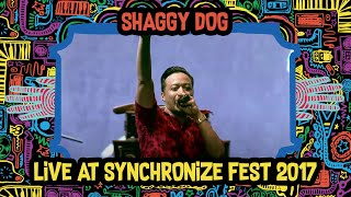 Download lagu Shaggy Dog LIVE @ Synchronize Fest 2017 mp3