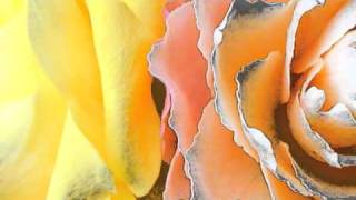 Law of Attraction ~ Paul Avgerinos