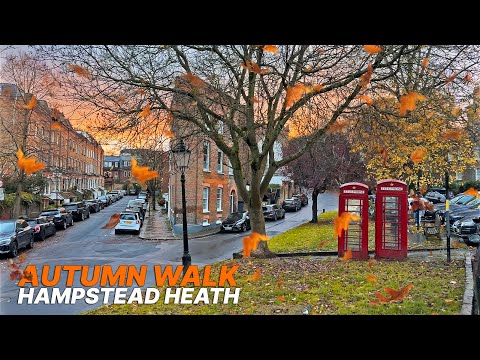 Autumn walk in Hampstead Heath, a relaxing walking route 🍂🌇