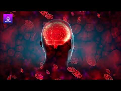 Improve Blood Circulation Frequency: Head & Brain Healing Music