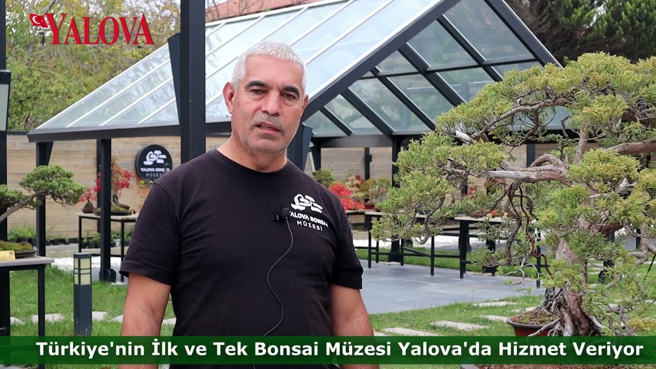 Türkiye’nin İlk ve Tek Bonsai Müzesi, Uluslararası İlgi Görüyor