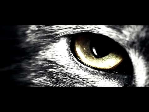 Squnto - Sycamore (Original mix)