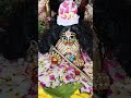 Mujpe Chada Krishna Ka Rang Krishna Shyam Love Radhekrishnaa Laddu Hindufestival