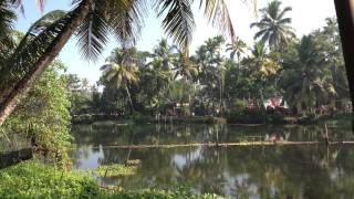 One Pure and Holy Passion