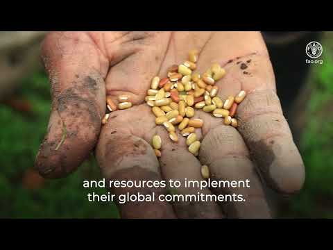 FAO and the Kunming Biodiversity Fund help countries meet biodiversity targets via agrifood systems