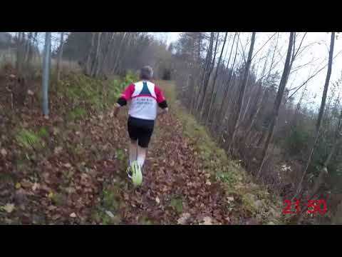 Höstloppet 2017 - 13,3 km (Löparperspektiv, 2x)