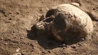 Digging Thornton Abbey Plague Pit