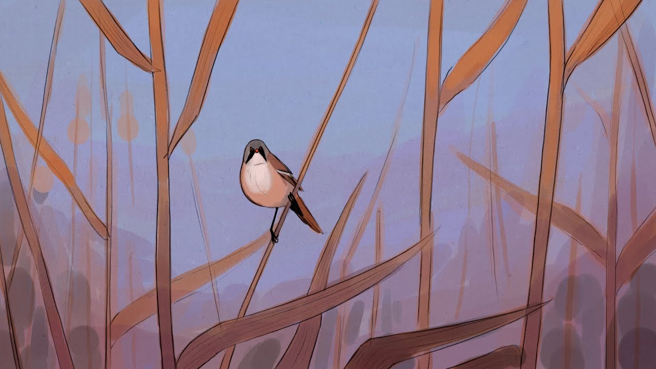 Animatie moerasreset Oostvaardersplassen