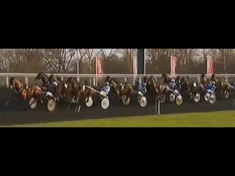 Grand Prix De France 2015_Timoko_B. Goop