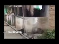 Video Lucu