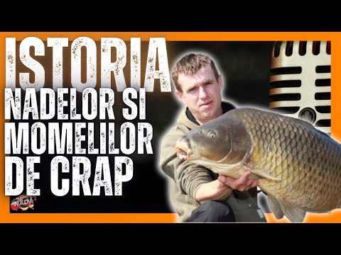 ISTORIA NADELOR si MOMELILOR in PESCUITUL la CRAP cu Ivan Vasile BABOIERU, pe Patul de Nada - LIVE