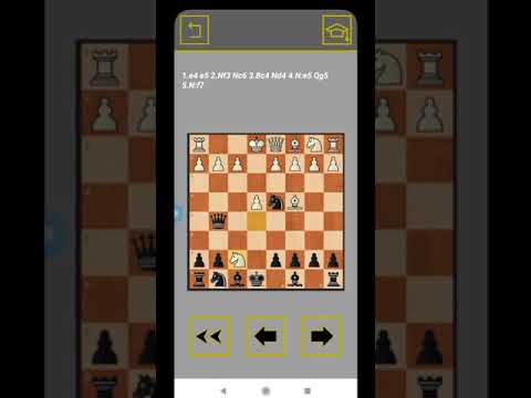 Chess traps.2