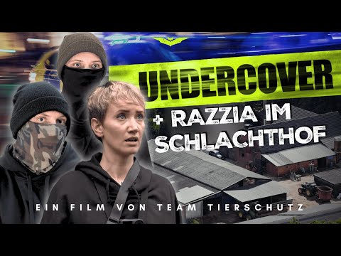 INSIDE SCHLACHTHOF - Wir retten 2 Tiere!
