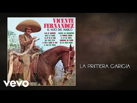 Vicente Fernández - La Primera Caricia (Cover Audio)