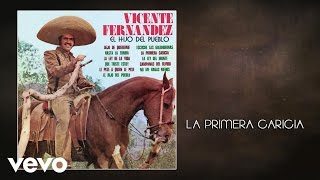 Vicente Fernández - La Primera Caricia (Cover Audio)