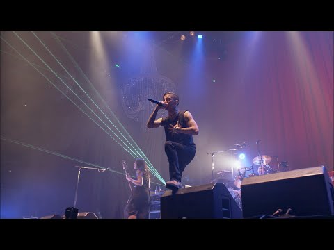 Dragon Ash｢百合の咲く場所で (Live) -2014.5.31 NIPPON BUDOKAN-｣