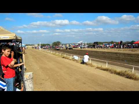 SPEEDY GONZALEZ VS ??? LA NUEVAA