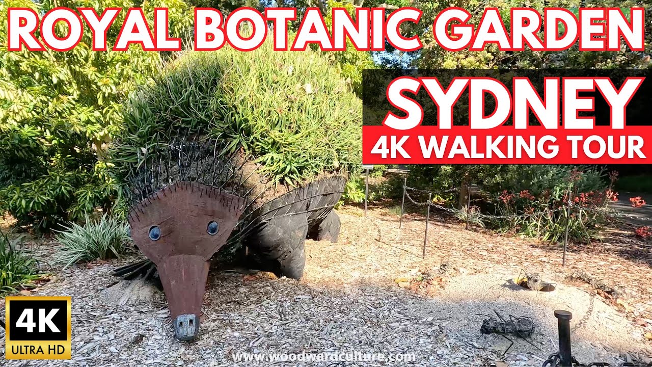 Royal Botanic Garden Sydney 4K Walking Tour | Sydney Australia | Woodward Culture