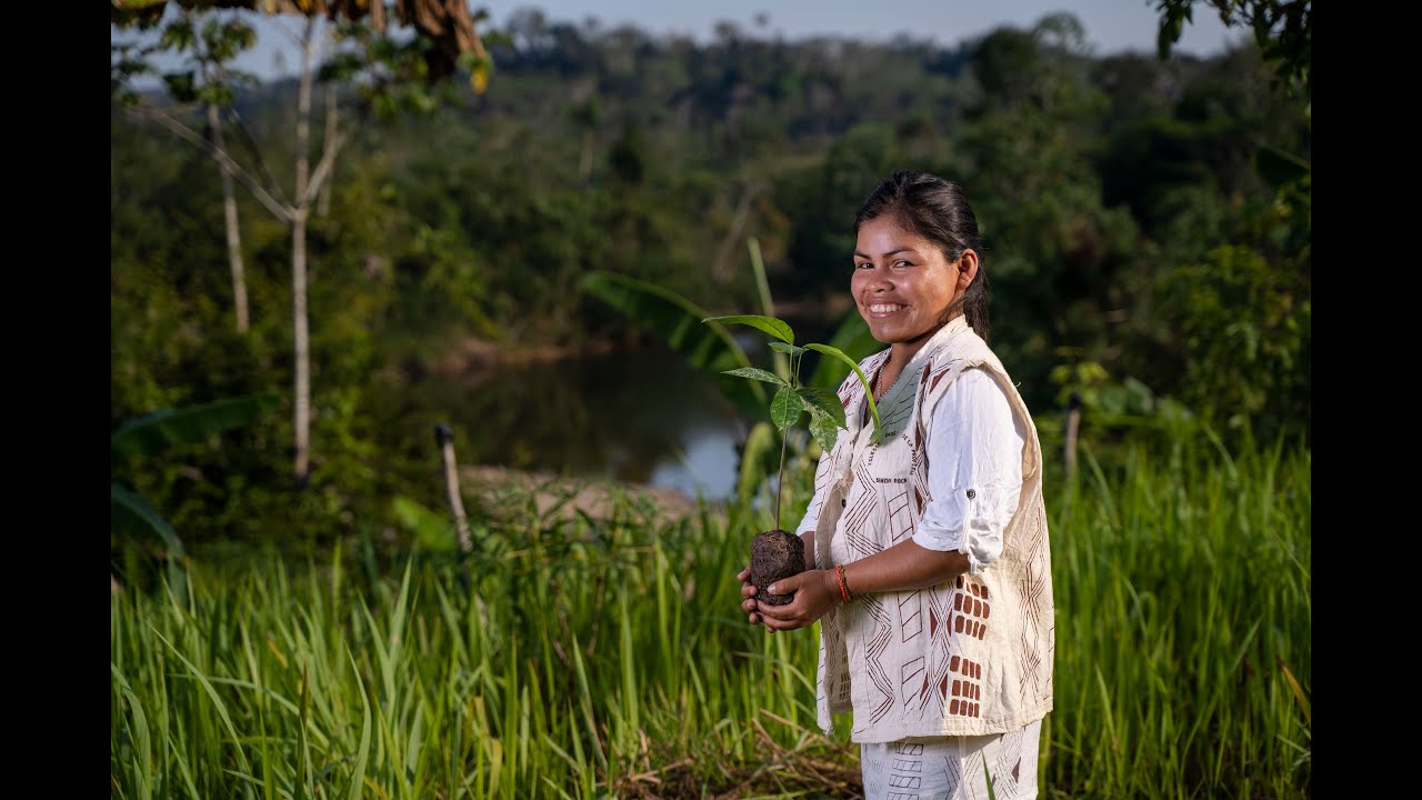 Community forest management