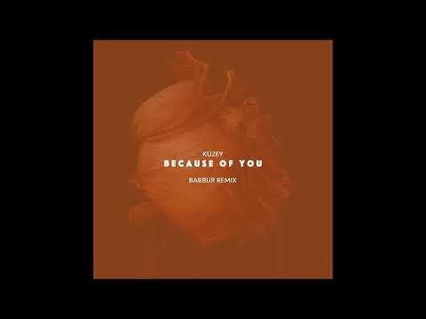 PREMIERE: Kuzey & Barbur - Because of You (Barbur Remix) [Barbur Music]