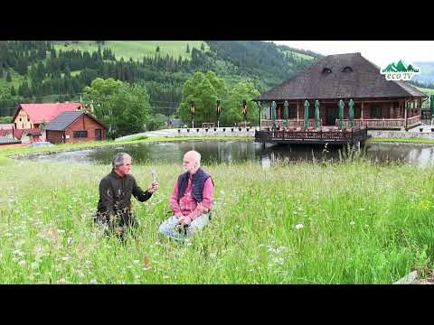 Actorul Vlad Rădescu - despre Ciprian Porumbescu