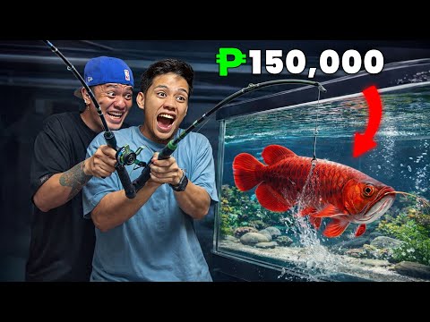 BG NINAKAW ANG EXOTIC PETS ni ARGON - Super Fish Arowana
