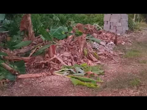 Farmer battling major challenges