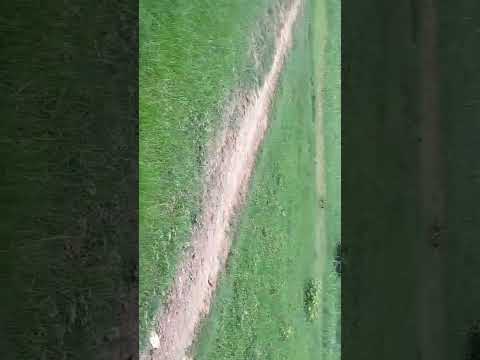 village beauty in Rainy weather||The Quran Yamina