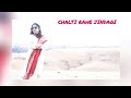 Tum Bhi Chalo Hum Bhi Chale Status Film Zameer