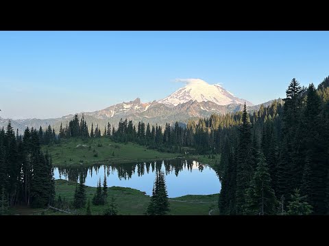 Hike to Summerland Meadow, Mount Rainier NP, July 2023 | Mountains, wildflowers, butterflies