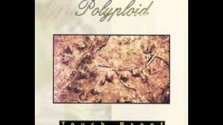 Polyploid - Church of Tangent (1996)