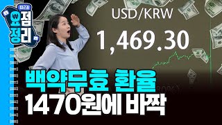 지난번엔 반도체, 오늘은 원전  [1월12일 #퇴근요정]