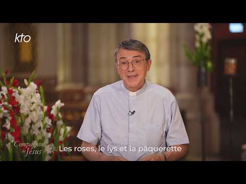 Les roses, le lys et...