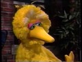 Sesame Street 3741 Frazzle Sleeps Over At Big Bird S
