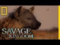 Zalika The Outlaw Queen Savage Kingdom