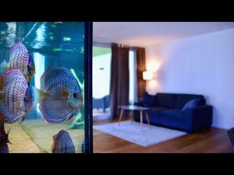 120 Gallon Living Room Discus Fish Tank | Juwel Rio 400