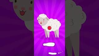 Farm animals pig, cat, sheep, goose, rabbit