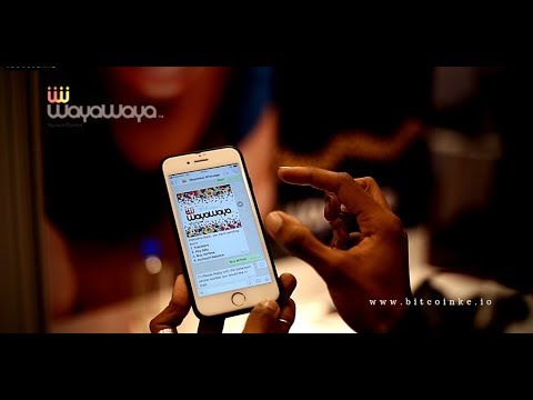 Frontier Africa Reports