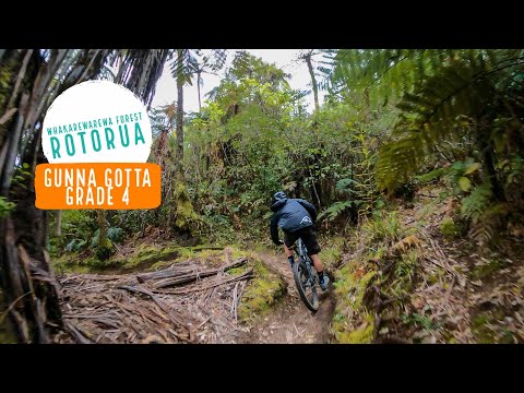 The perfect intro to tech - Gunna Gotta, Rotorua