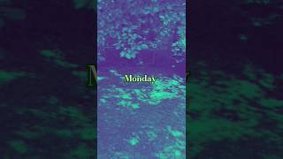 #monday Rapsody ft BJ The Chicago Kid - Black &amp; Ugly #myvibe #daily #nthemind #Osyus #fyp