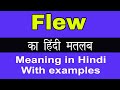 Flew Meaning in Hindi/Flew का अर्थ या मतलब क्या होता है