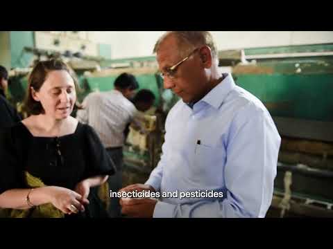 Organic vs Regular Cotton: Why is Organic Cotton important?