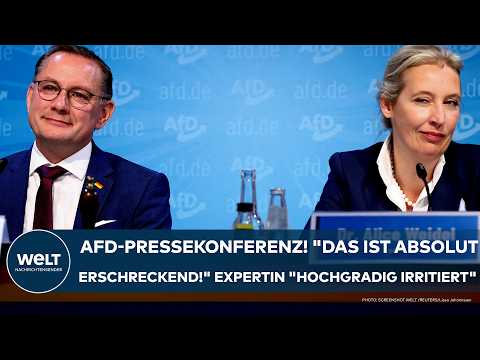 BRANDENBURG: AfD-Pressekonferenz! "Das ist absolut erschreckend!" Expertin "hochgradig irritiert"!
