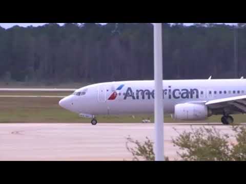 American Airlines Animals
