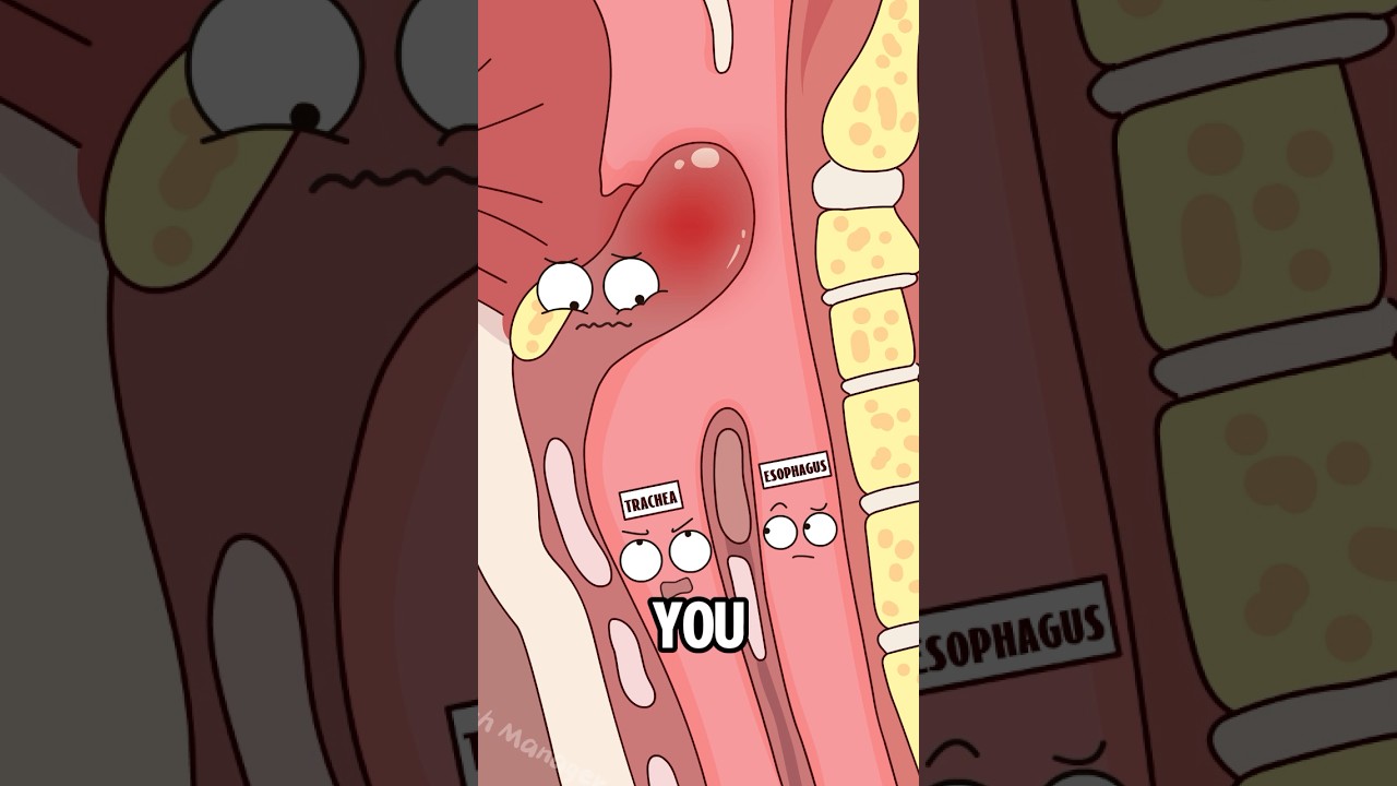 Why can’t you drink ice water after eating hot food?#animatin #funny #shorts #health #trending